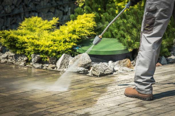 Best Pool Deck Cleaning  in Elmont, NY