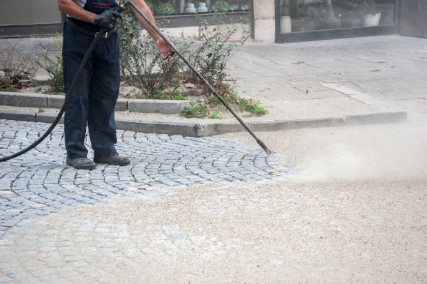 Best Driveway Pressure Washing  in Elmont, NY