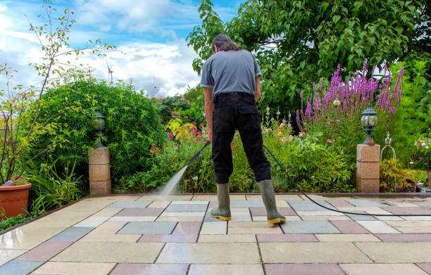 Best Sidewalk and Walkway Cleaning  in Elmont, NY